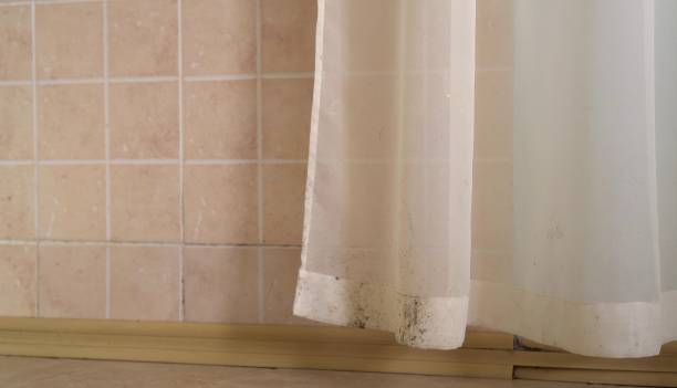 Best Mold Remediation for Healthcare Facilities  in Garner, IA