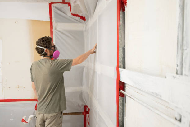  Garner, IA Mold Removal Pros