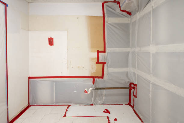 Best Mold Odor Removal Services  in Garner, IA