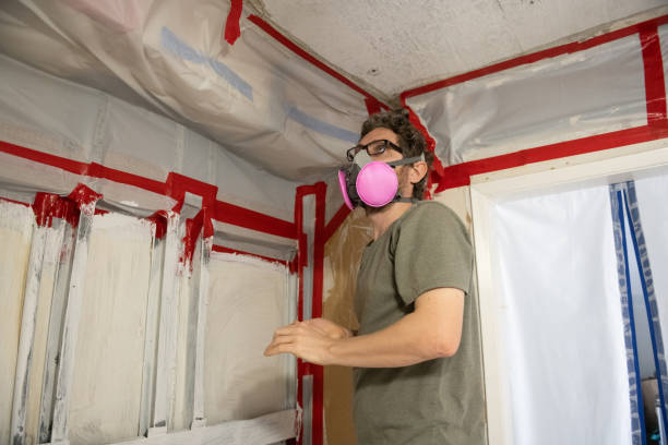 Best Asbestos and Lead Testing During Mold Inspection  in Garner, IA