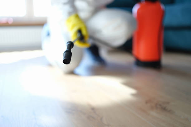 Best Industrial Mold Remediation  in Garner, IA