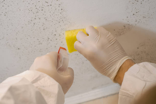 Best Indoor Air Quality Assessment  in Garner, IA