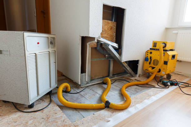 Best Comprehensive Air Testing for Mold Contaminants  in Garner, IA