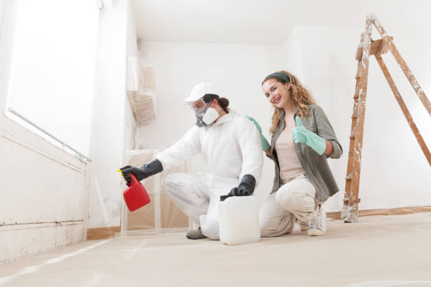 Best Mold Documentation for Insurance Claims  in Garner, IA